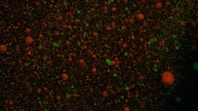 橙色和绿色的体积荧光颗粒在黑色移动背景上移动和变化，过渡。