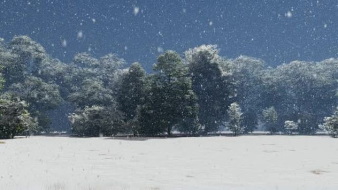 冬季，白雪皑皑的风景