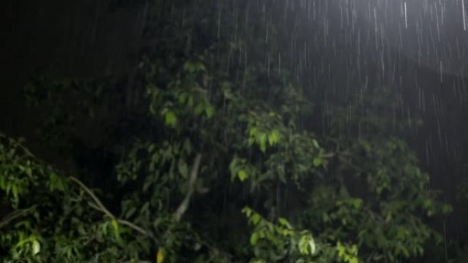 雨滴在夜间落下并闪电。