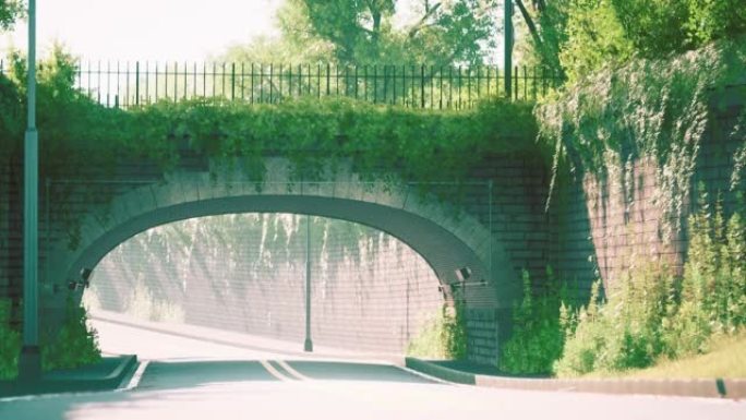 公园里有活灌木树枝的拱桥