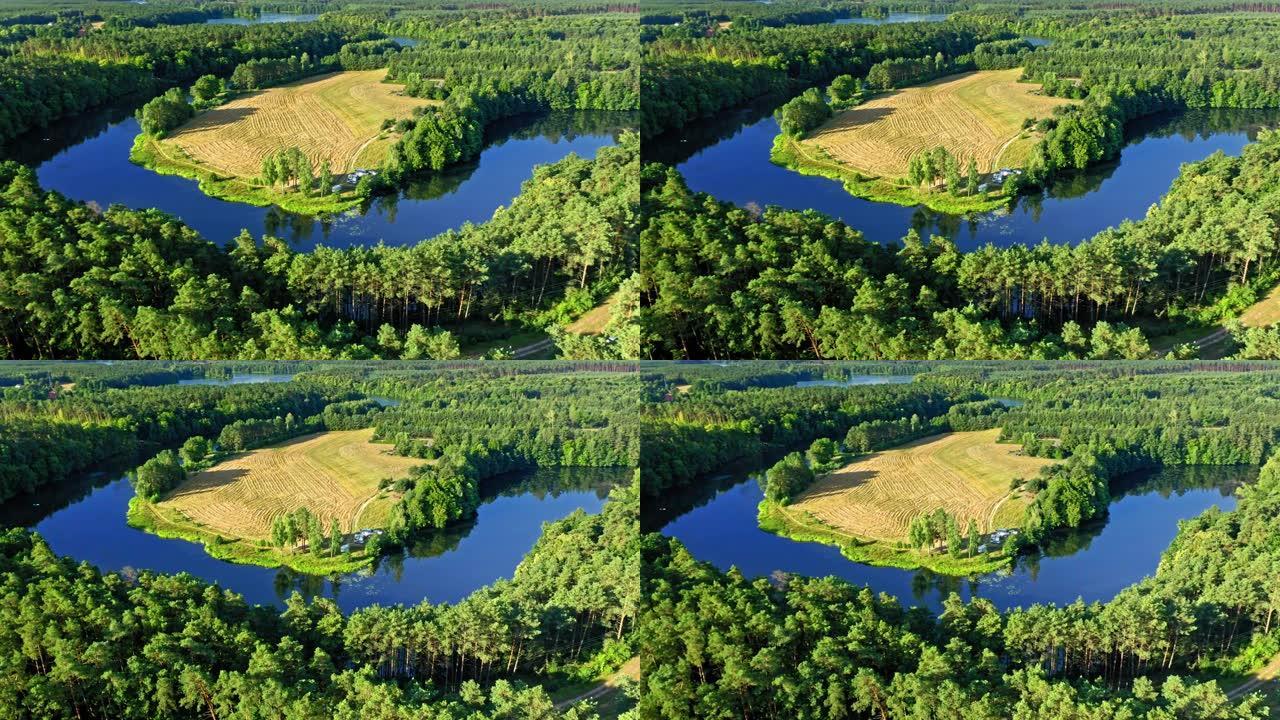 波兰日出时的绿色森林和蜿蜒的河流，鸟瞰图