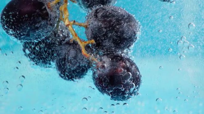 水中黑葡萄果实，选择性聚焦，宏观。健康的生活方式。多种维生素鸡尾酒。夏季饮食
