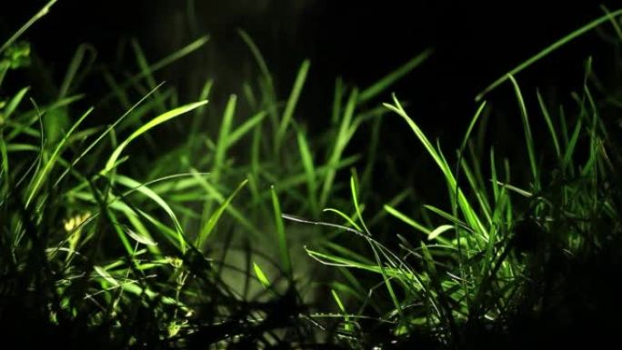 在雨后的一个寒冷的夜晚，水滴落在草地上的固定反射器上，随着蒸汽的增加而上升