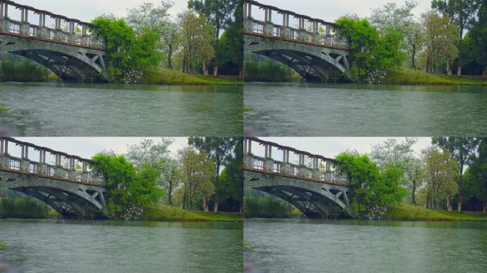 4K实拍春雨中广州公园湖边拱桥与落花落叶