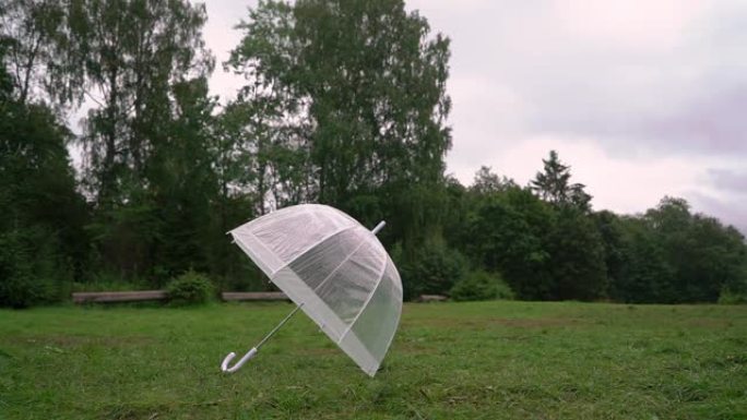透明雨伞上的雨滴。雨，潮湿的天气