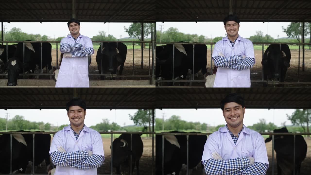 兽医的视频肖像
奶牛农场。