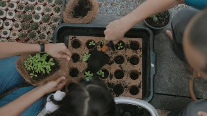 教孩子可持续的生活，泰国家庭种植家庭蔬菜的简单生活。