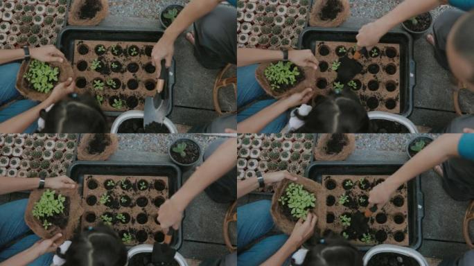 教孩子可持续的生活，泰国家庭种植家庭蔬菜的简单生活。