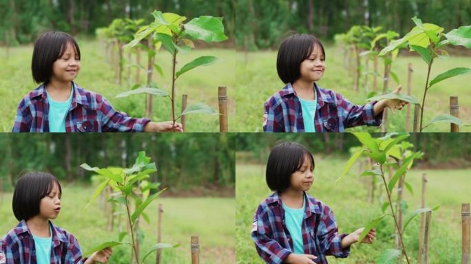 小女孩在绿色的草地上种树。