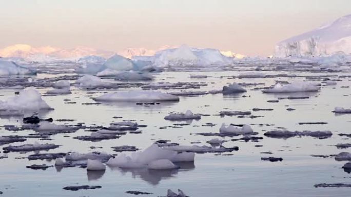 在南极洲的冰水中划船