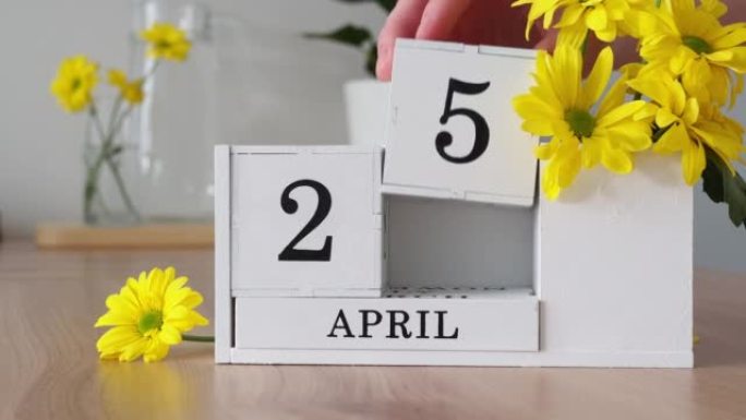 春季月份4月25日。女人的手翻过一个立方历法。黄色花朵旁边的桌子上的白色万年历。在一个月内更改日期。