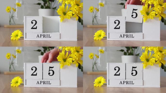 春季月份4月25日。女人的手翻过一个立方历法。黄色花朵旁边的桌子上的白色万年历。在一个月内更改日期。