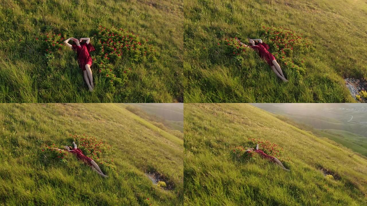 一个慢动作屏保，鸟瞰一个穿着红色连衣裙的年轻美女，躺在红色野生牡丹的草地上。