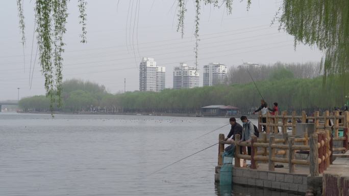 公园周末游客在河边聚集钓鱼人文实拍4K