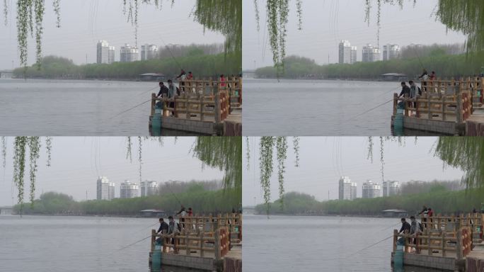 公园周末游客在河边聚集钓鱼人文实拍4K