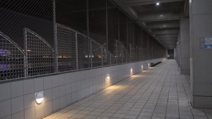 东京港晴海码头夜景2022 2月