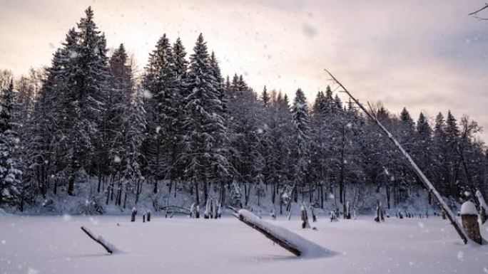 美丽的冬季风景，相机向湖边左移。美丽的降雪