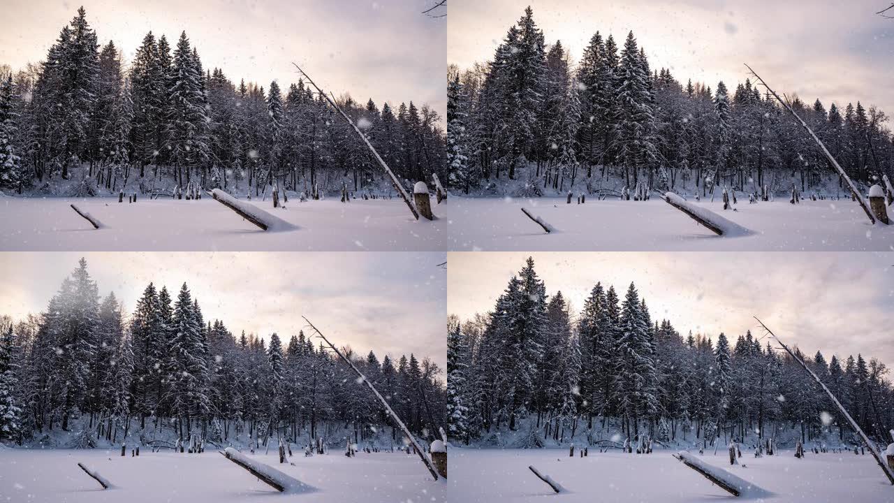 美丽的冬季风景，相机向湖边左移。美丽的降雪