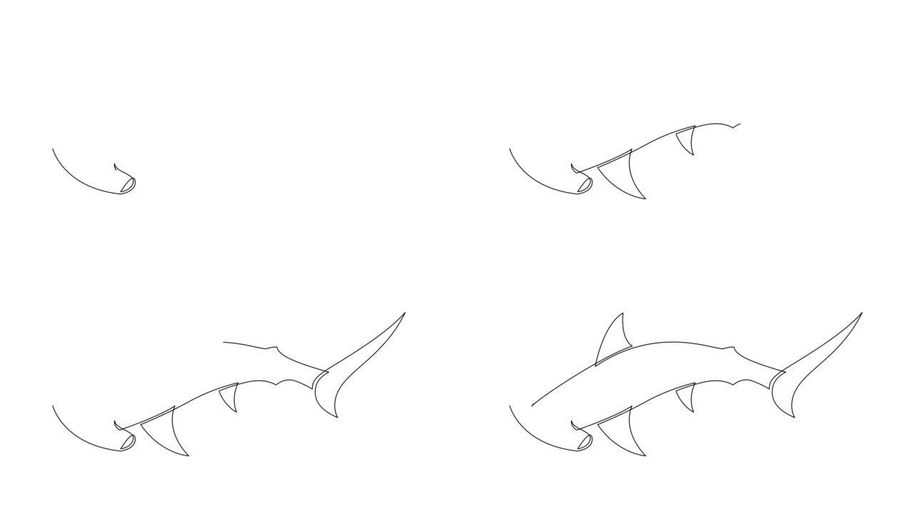 自绘锤头鲨连续单线绘制的简单动画。锤头单线手工绘制。4k阿尔法通道。