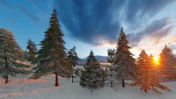 山里美丽的冬季风景。地面和树木覆盖着厚厚的新鲜蓬松的雪