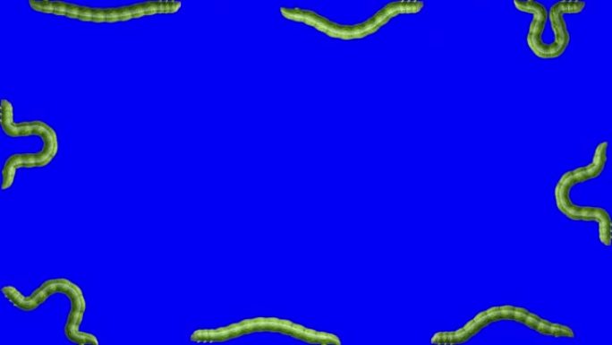 蓝色毛毛虫，循环3D动画