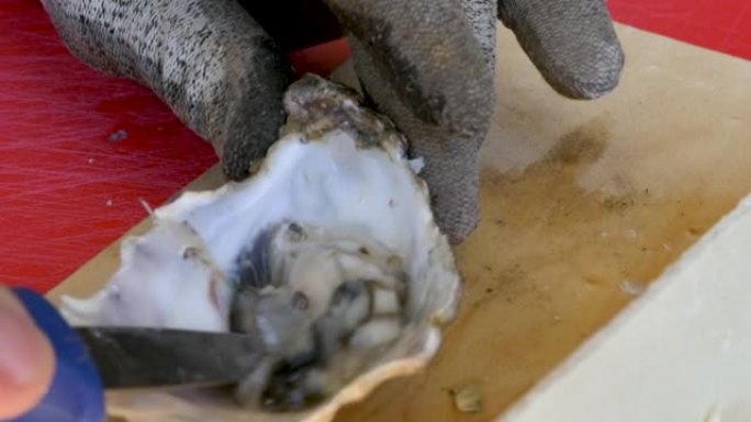 牡蛎内部用刀清洁