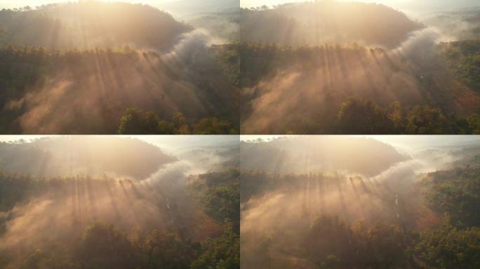 早晨，无人机在雾蒙蒙的森林上的鸟瞰图，背景是阳光和山脉。运动中的自然背景。4K