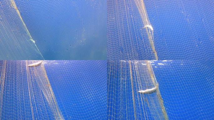海中挂在船上的网中捕获的鱼
