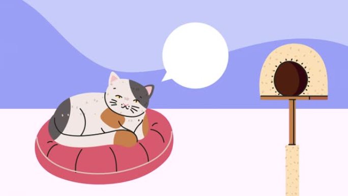 可爱的猫睡觉与语音泡泡动画