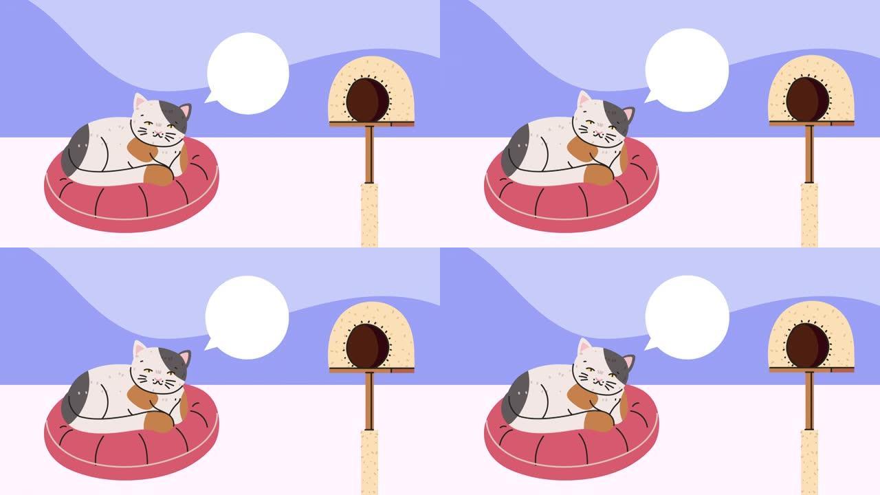 可爱的猫睡觉与语音泡泡动画