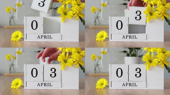 春季月份4月3日。女人的手翻过一个立方历法。黄色花朵旁边的桌子上的白色万年历。在一个月内更改日期。一