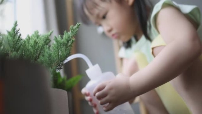 4k视频小亚洲可爱女孩在家里给小植物浇水。