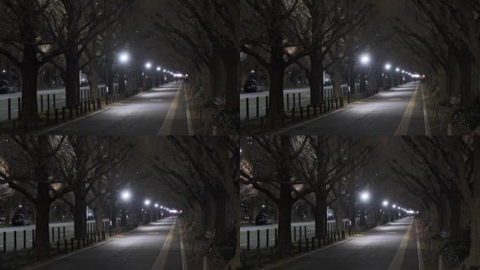 东京神宫盖恩夜景2022 3月