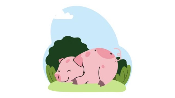 在营地动画中睡觉的可爱猪