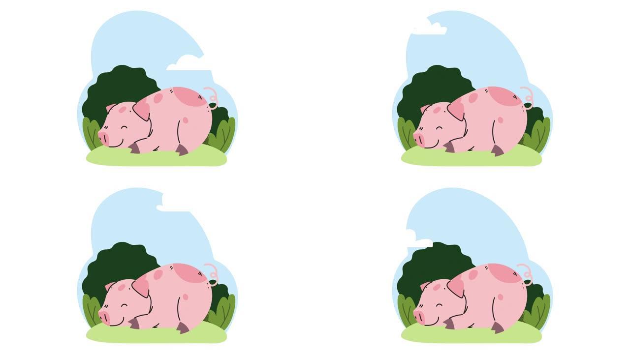 在营地动画中睡觉的可爱猪