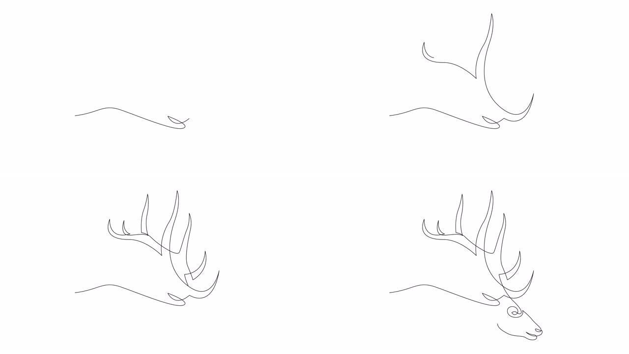 单连续线动画自画优雅可爱鹿为国家动物园标志标识。动物狩猎俱乐部的豪华巴克吉祥物概念。全长一行动画插图