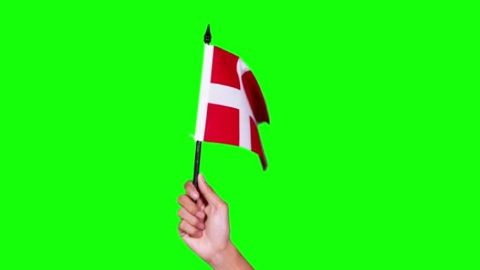 手握丹麦国旗在工作室