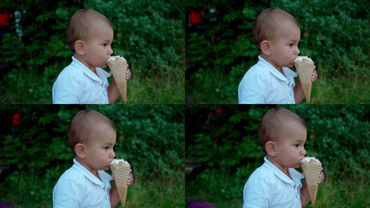 可爱的小男孩在公园吃冰淇淋。与父母一起进行户外娱乐，食物