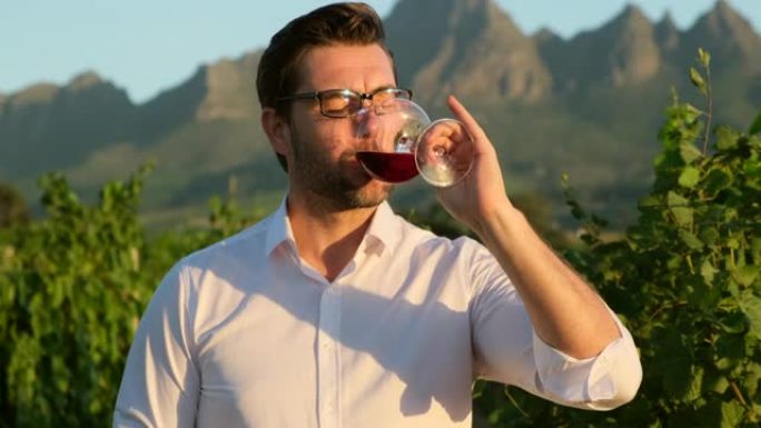 在葡萄园里戴着白衬衫的眼镜的男人从玻璃杯中测试红酒