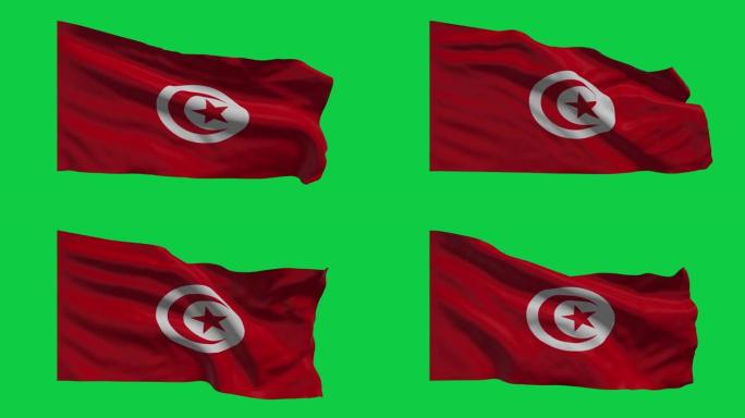 突尼斯国旗挥舞着动画 (4K) 绿色屏幕