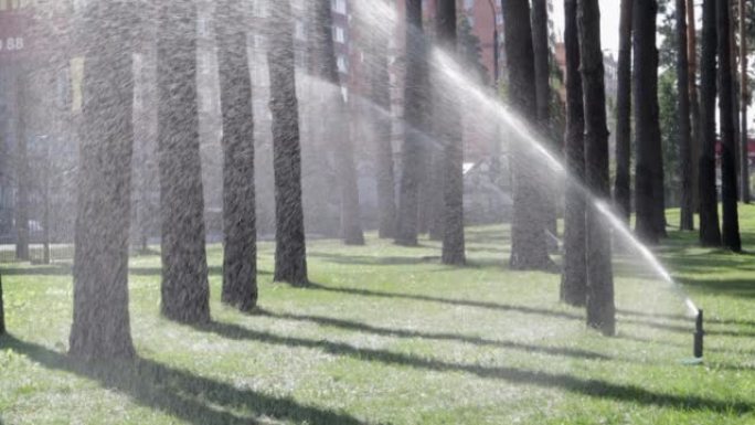 洒水喷头正在用绿草浇灌草坪。园艺概念。智能花园通过在绿色公园中运行的全自动洒水灌溉系统启动