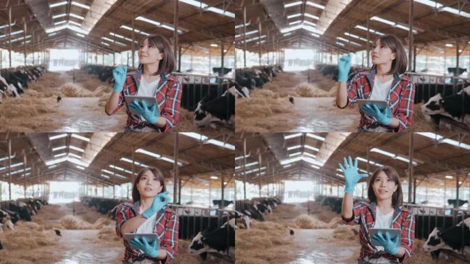 在马stable或农场谷仓中站在母牛上时，使用数字平板电脑拍摄女性农民的照片。