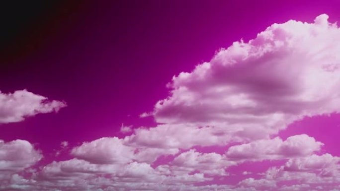 天鹅绒紫罗兰色紫色洋红色美丽多云戏剧性的天空，有蓬松的云。自然背景