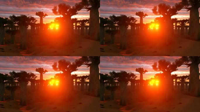 日落时非洲景观上的猴面包树