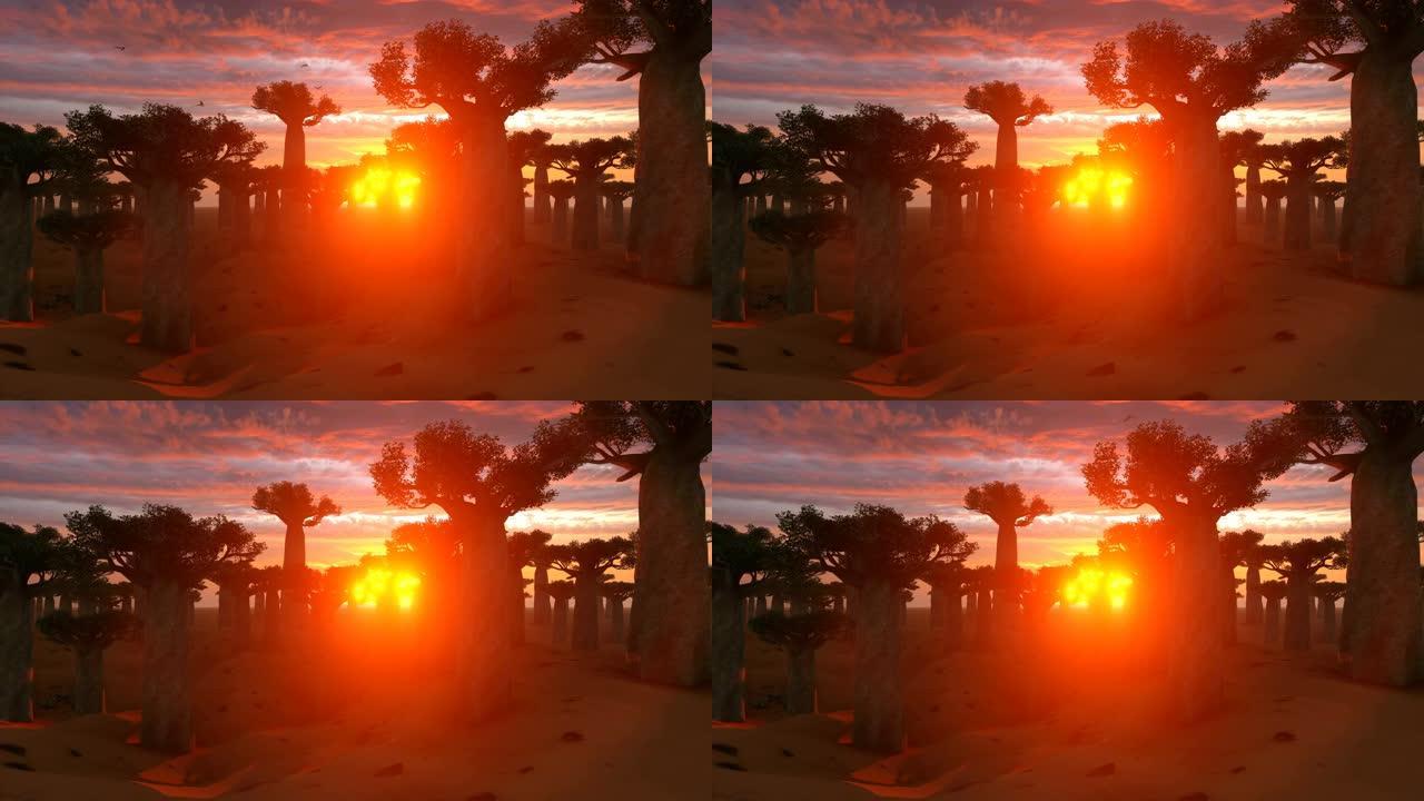 日落时非洲景观上的猴面包树