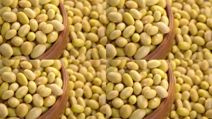 生金丝雀 (秘鲁) 黄豆在乡村木碗。干秘鲁豆科植物。宏