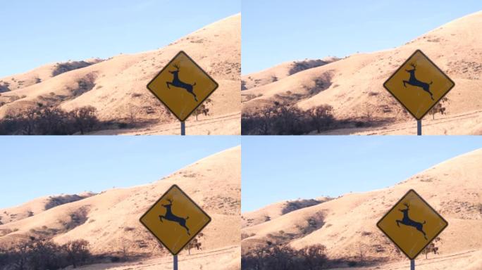 鹿十字黄路标志，美国加利福尼亚州。野生动物兴，交通安全