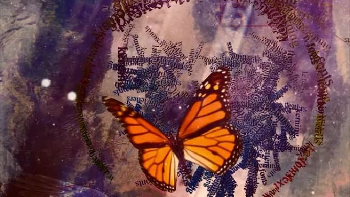 抽象背景上的蝴蝶