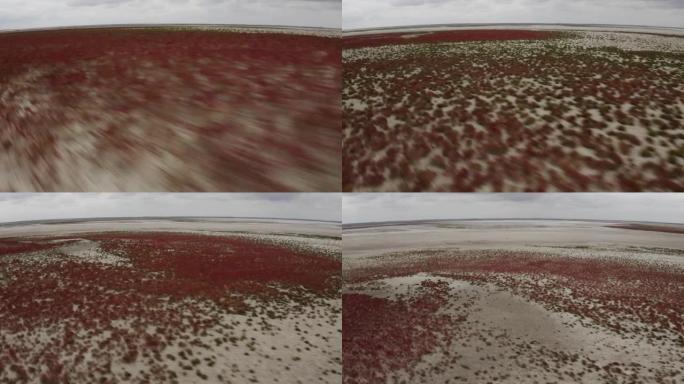 在阴天，无人驾驶飞机接近沙漠干燥盐湖的地面低射