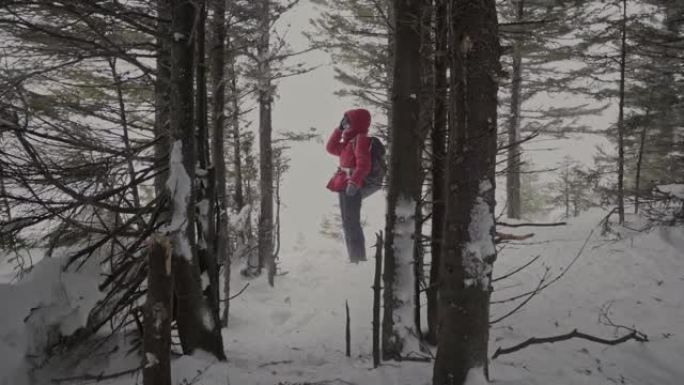 在一场暴风雪中，山顶上的人躲在树后。
